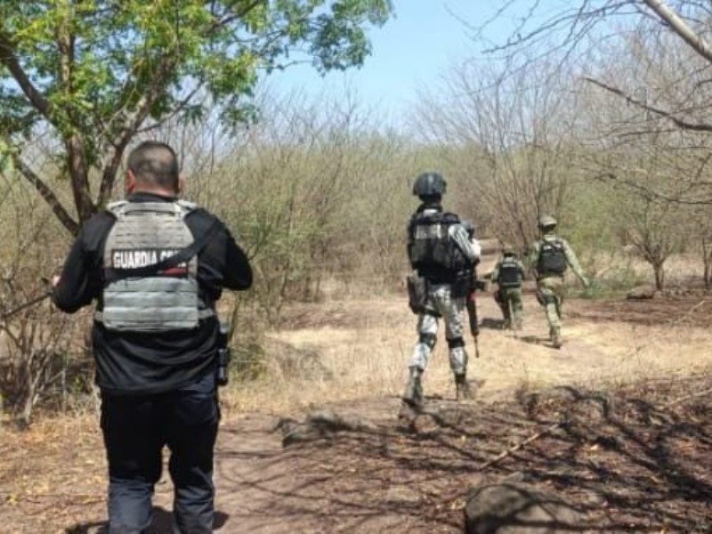 Minas explosivas ya no solo en caminos, también en parcelas