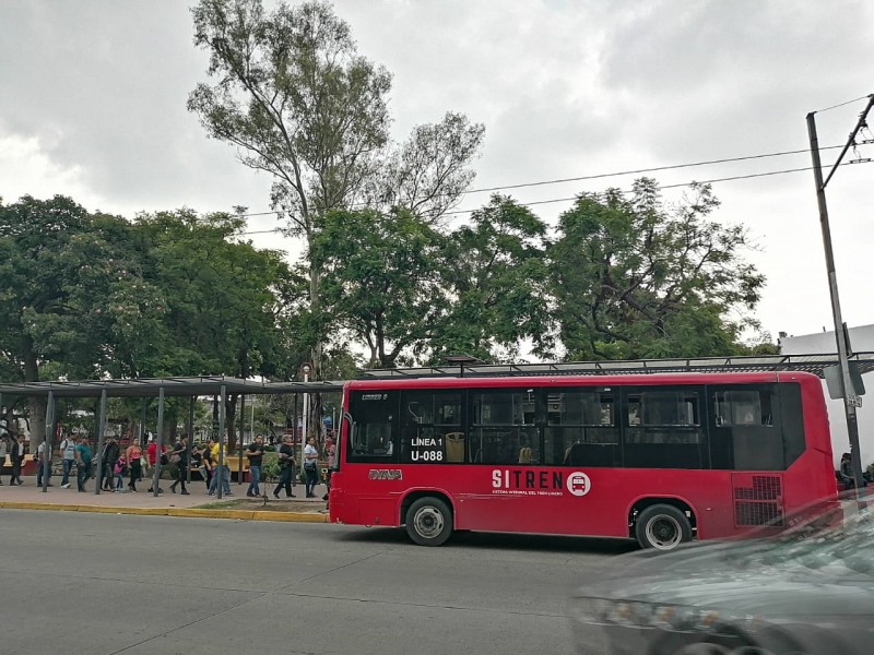 Modificarán derroteros del transporte público por Romería