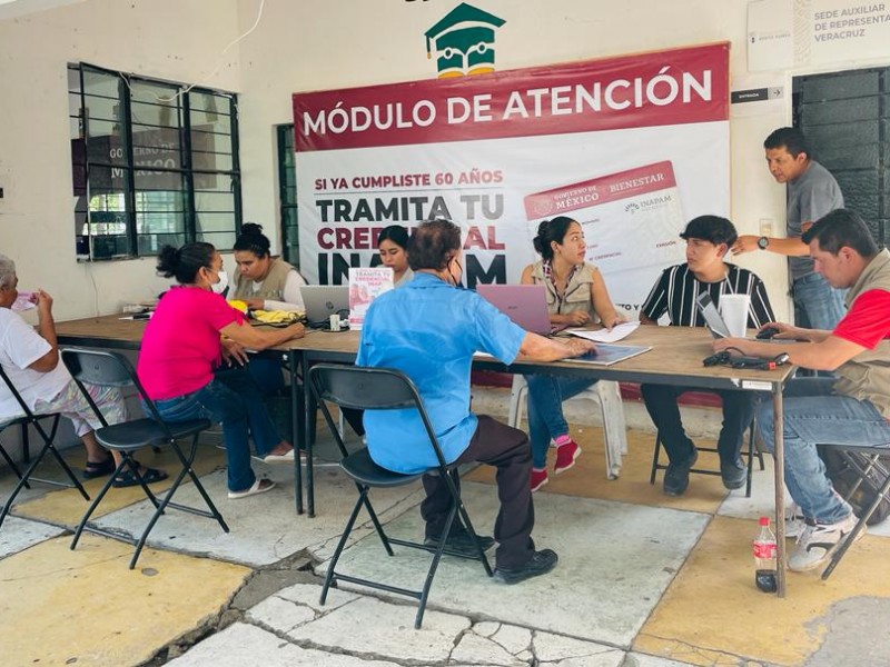 Módulo de credencialización INAPAM Tuxpan con gran demanda