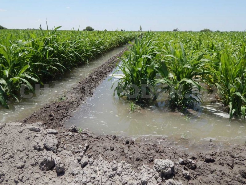 Módulo Taxtes interpone denuncia por despojo de agua