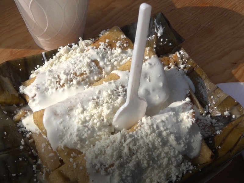 Molotic:  sabores veracruzanos que despiertan las mañanas