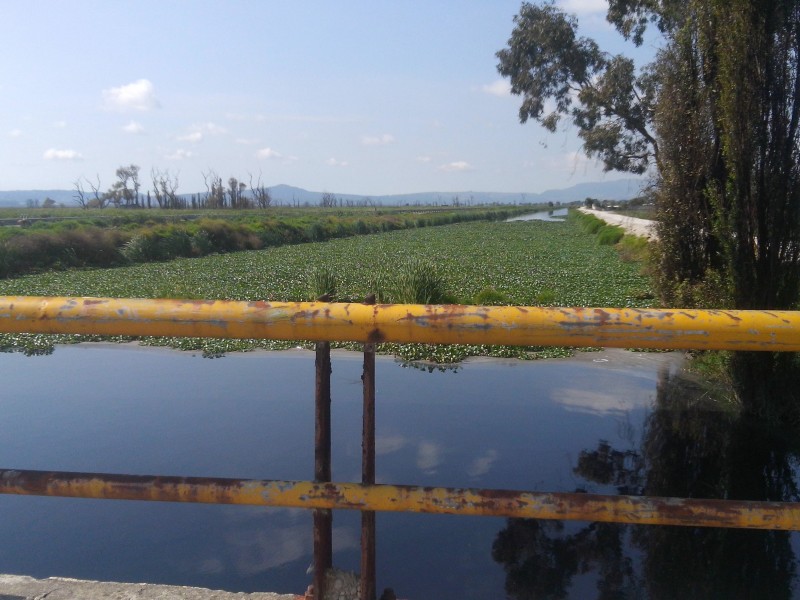 Monitorean  Río Lerma por 42 puntos susceptibles