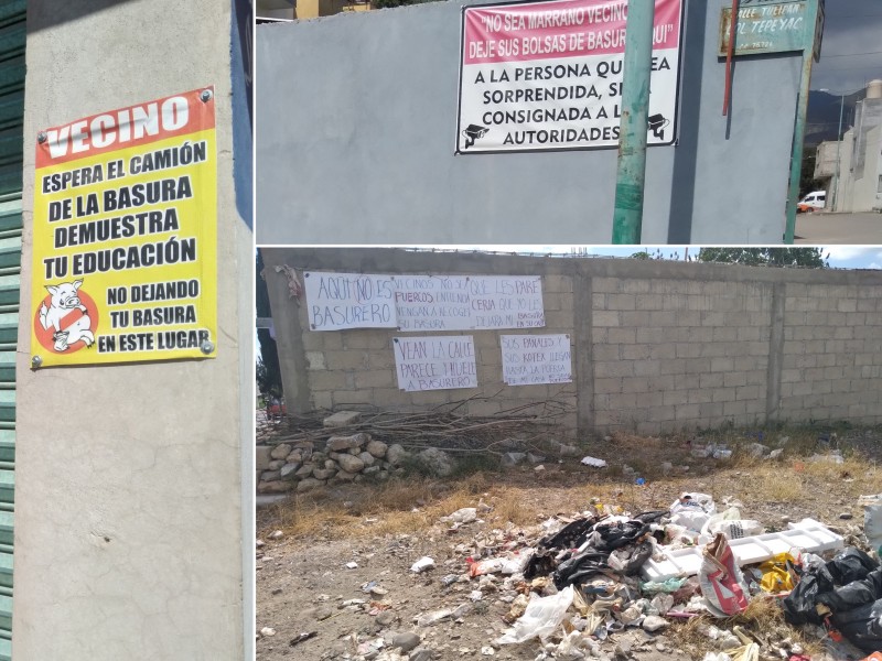 Montones de basura por falta de servicio y educación ambiental