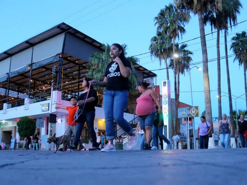 Moorelear invita a recorrido virtual ante contingencia sanitaria