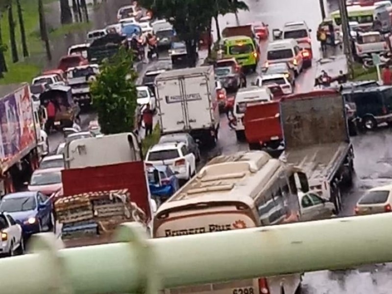 Morelia, entre inundaciones, árboles caídos y coches varados por tromba