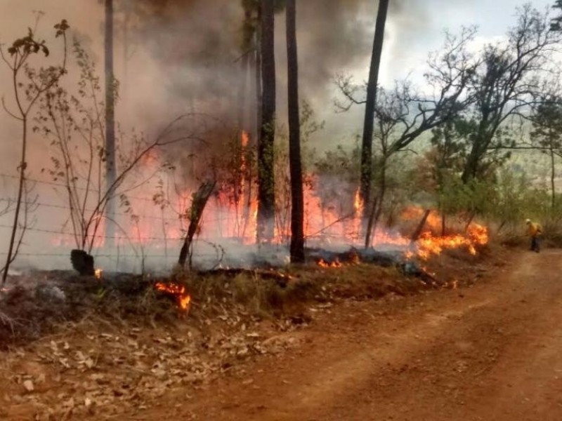 Morelia registra 18 incendios forestales en lo que va año