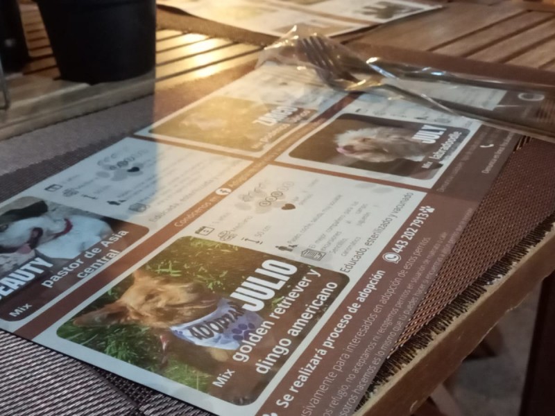 Morelia; restaurante usa manteles con fotografías de perritos en adopción