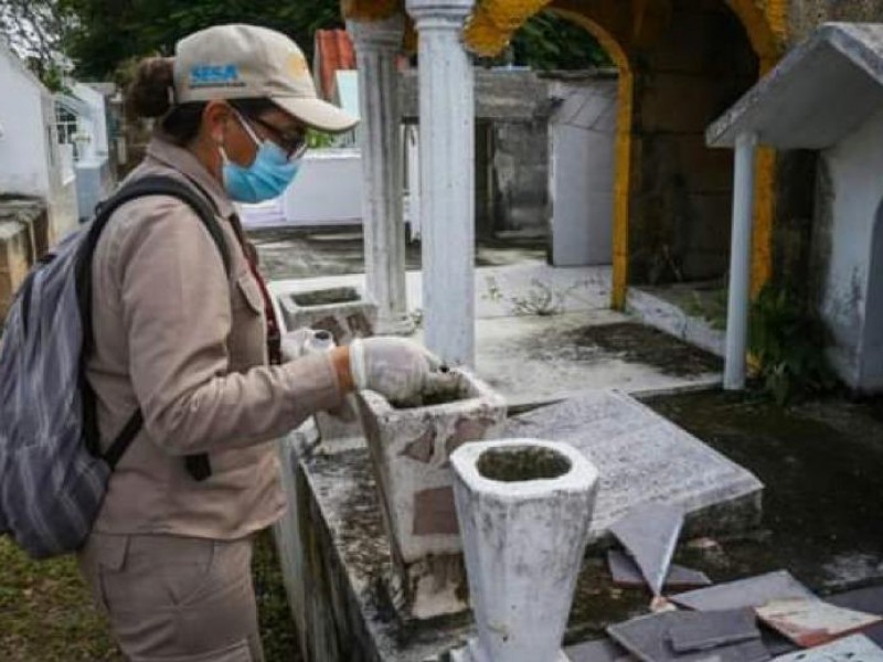 Mosco del dengue podría proliferar en panteones