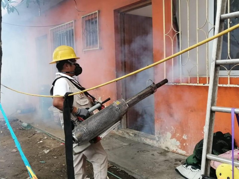 Moscos invaden colonia Playa Linda en Veracruz