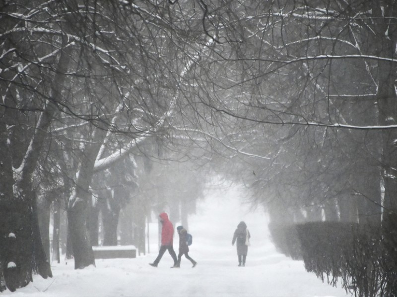 Moscú recibe su mayor nevada registrada en 72 años