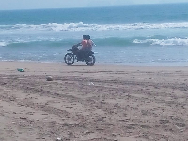 Motociclistas ponen en riesgo nidos de tortuga en playa Larga