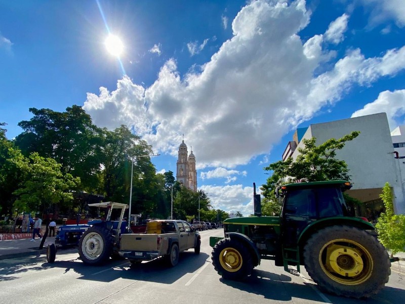 Movimiento Rural de Sinaloa respalda protestas agrícolas; piden presupuesto de comercialización Movimiento Rural de Sinaloa respalda protestas agrícolas; piden presupuesto de comercialización
