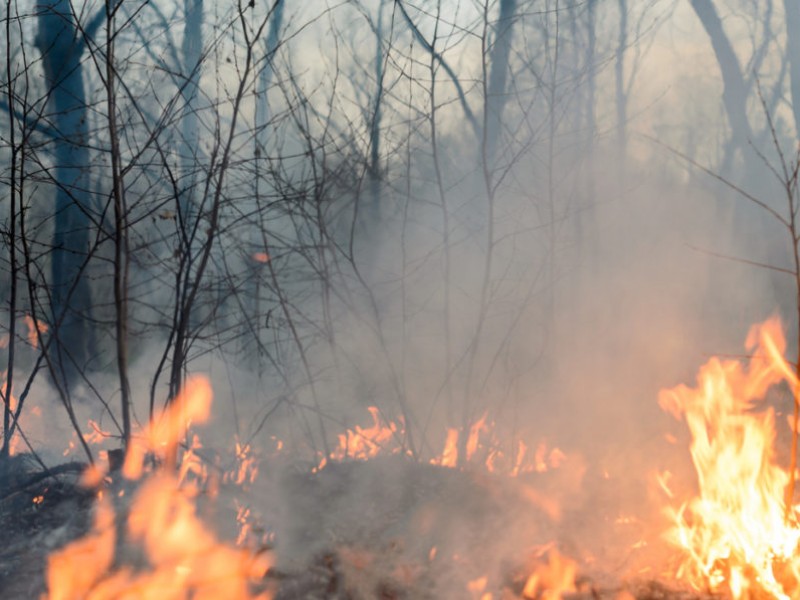 Muere adulto mayor quemado por incendio forestal en Manzanillo