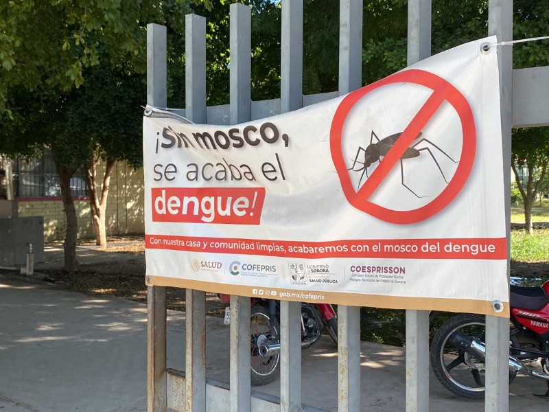 Muere alumno por dengue en Cajeme; inician campaña de limpieza