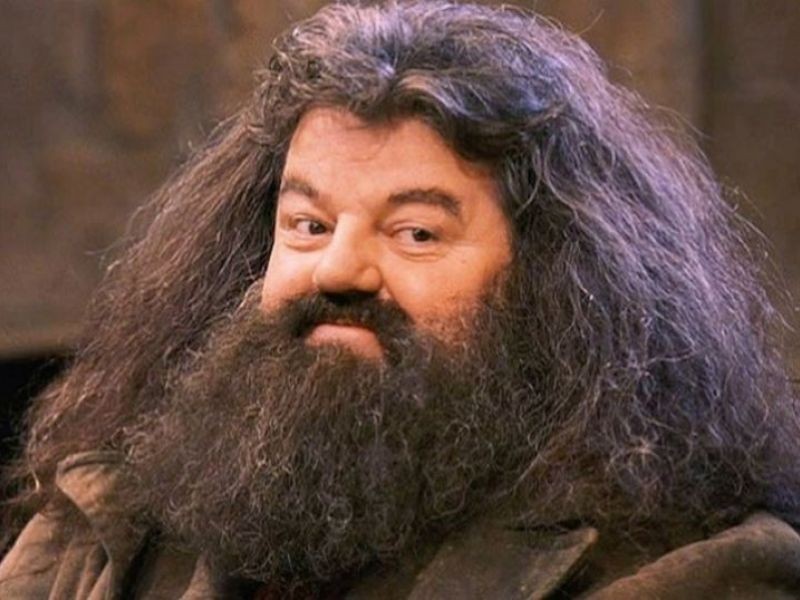 Muere el actor Robbie Coltrane, el Hagrid de 