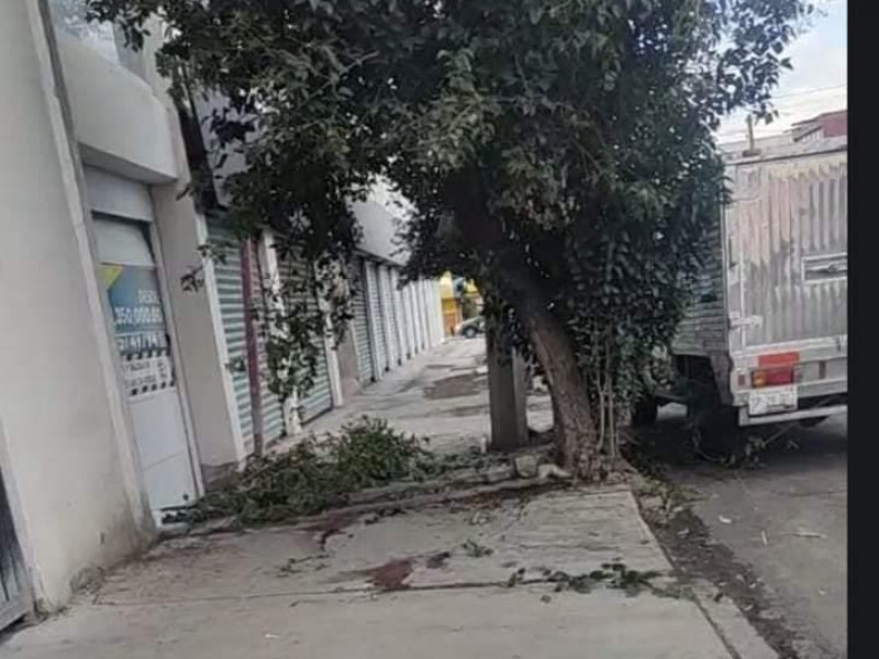 Muere estudiante de UPAEP tras caer de quinto piso