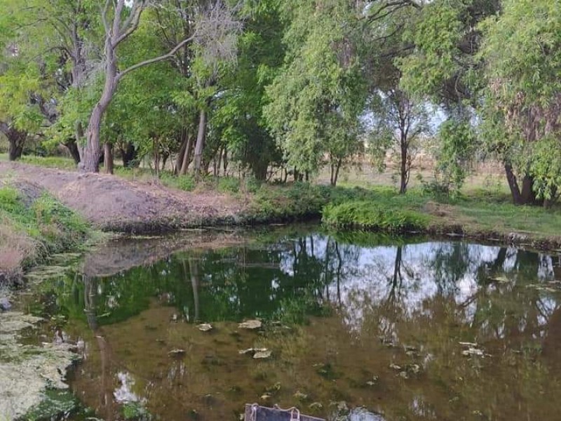Muere mujer ahogada en arroyo de comunidad en Atlixco