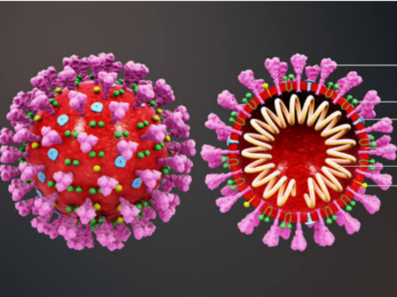 Muere mujer por coronavirus