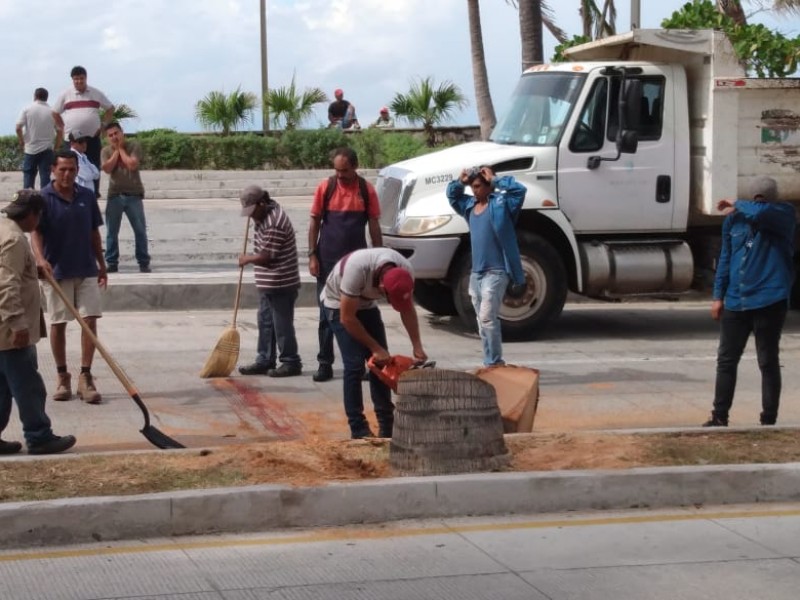 Muere trabajador municipal al caerle palemera: Mazatlán