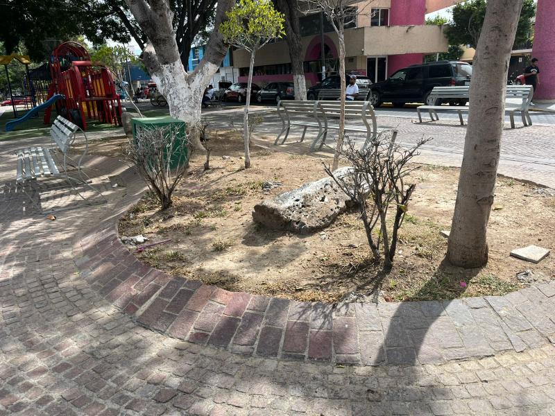 Muere vegetación en parque Paseo Hidalgo, preocupa a ciudadanos