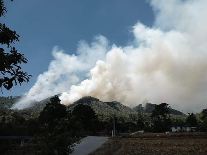 Mueren 3 en incendio forestal de Donato Guerra