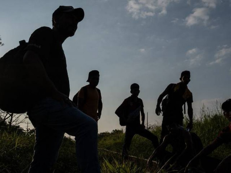 Mueren cuatro migrantes tras evadir retén en Encinal, Texas