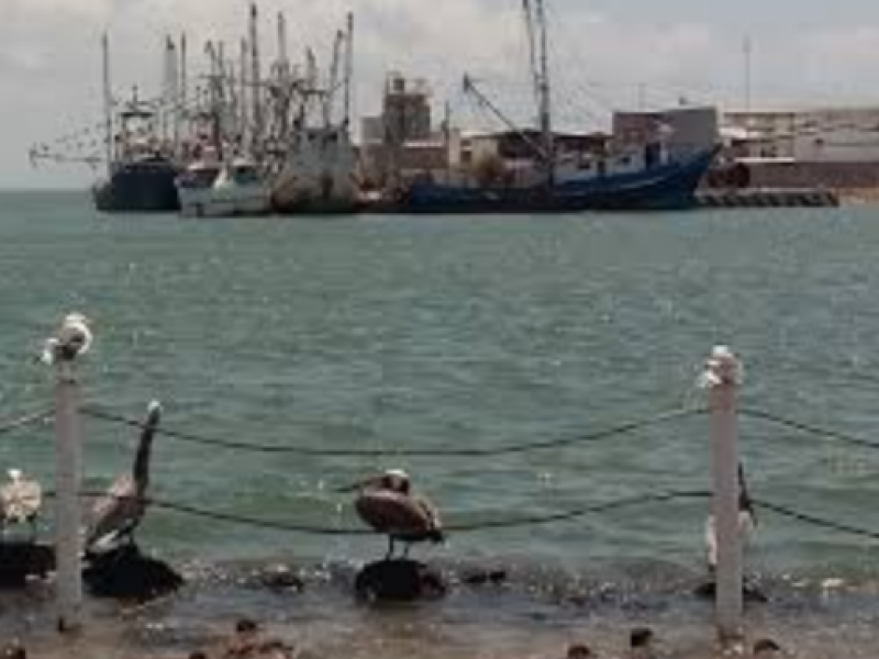 Mueren cuatro pescadores en Yavaros