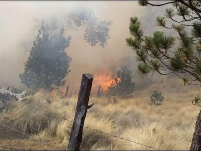 Mueren dos brigadistas tras sofocar incendio en Atzizintla