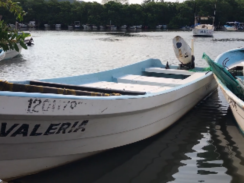 Mueren especies marinas por contaminación en la laguna