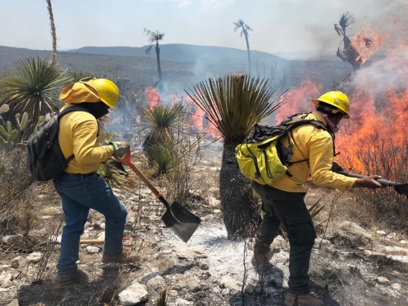 Mueren padre e hijo en combate de incendios en Puebla