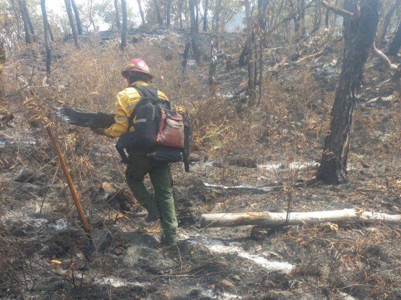 Mujer fue detenida por causar incendio forestal en Tala