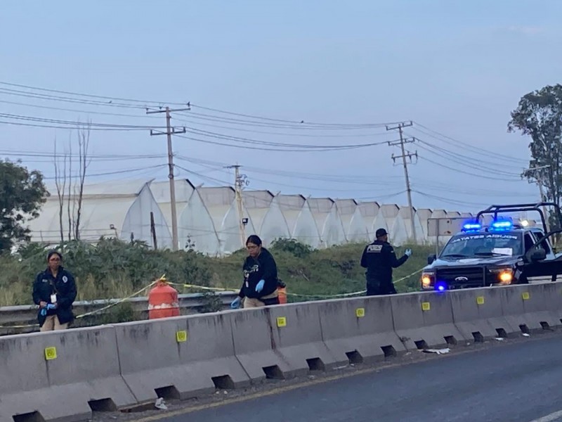 Mujer que discutía con su pareja, murió arrollada en Tlacote