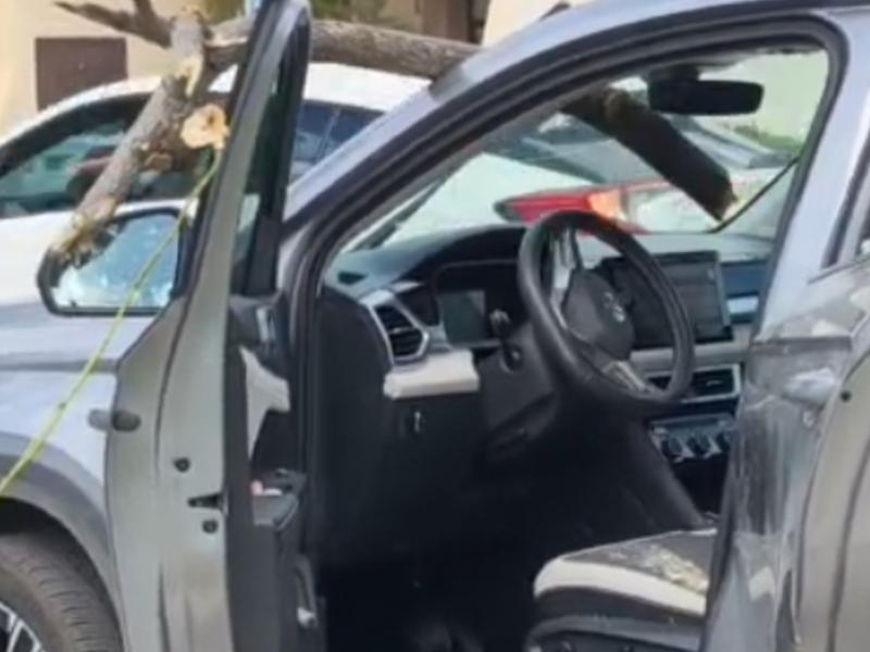 Mujer resulta ilesa tras impactar un trozo de arbol su vehículo