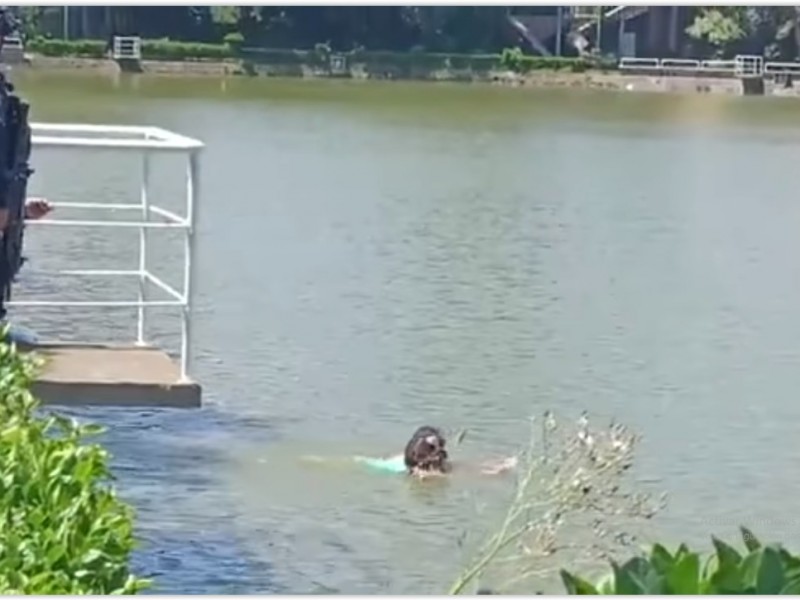 Mujer se arroja a Los Lagos de Xalapa