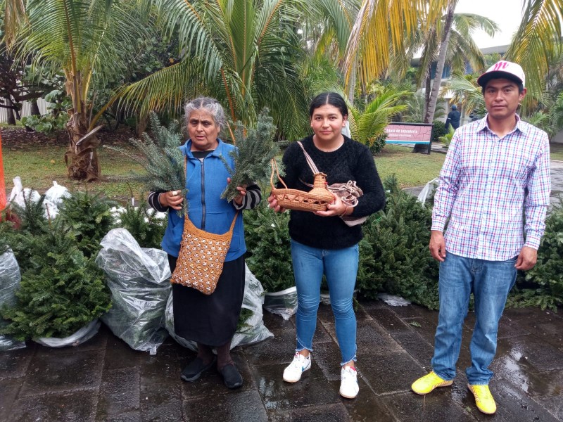 Mujeres de Perote realizan limpieza del bosque y crean artesanías