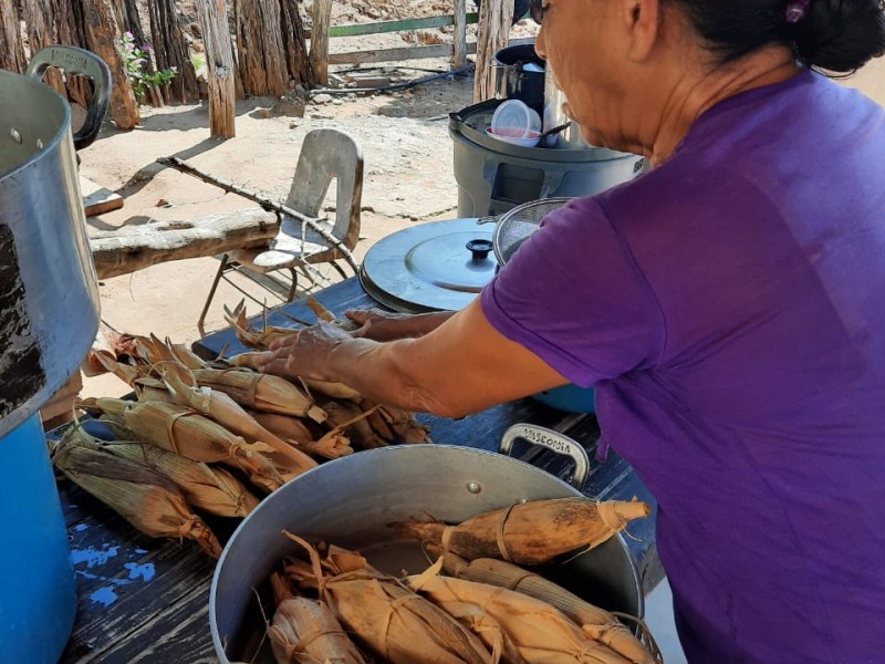 Mujeres de rancherías de San Ignacio producen