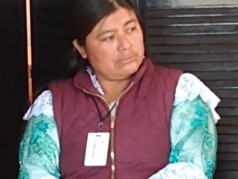 Mujeres indígenas violentadas por representar cargos políticos