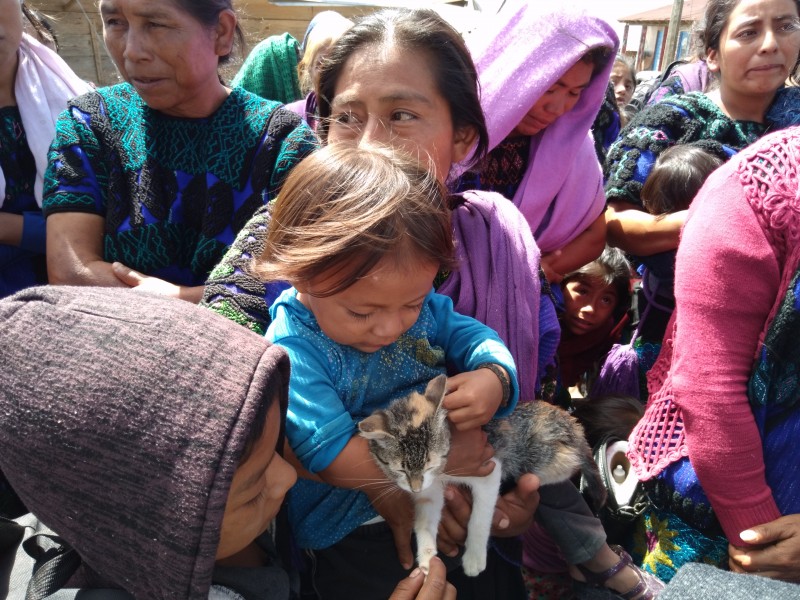 Mujeres, niñas y niños desplazados demandan ayuda humanitaria