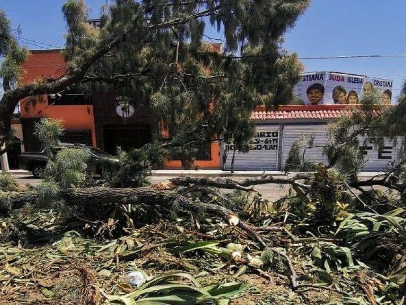 Multan a hermosillenses por daños a la ecología