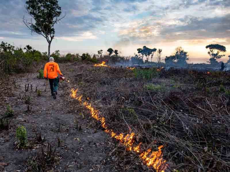 Multas de hasta 300 mil pesos a quien provoque incendios