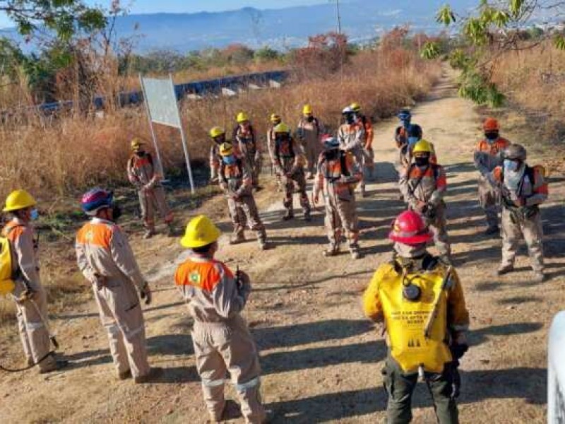 Multas y arresto para quienes generen incendios en TGZ