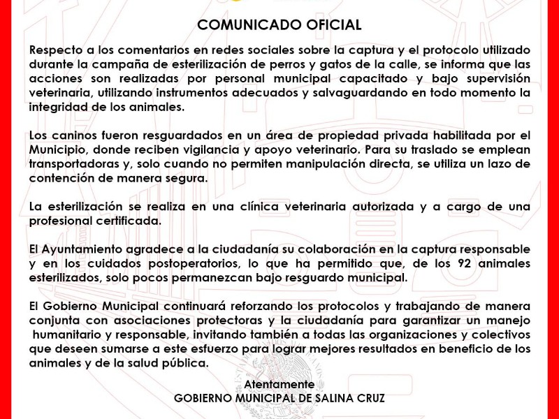 Municipio aclara protocolos de captura y esterilización de animales callejeros
