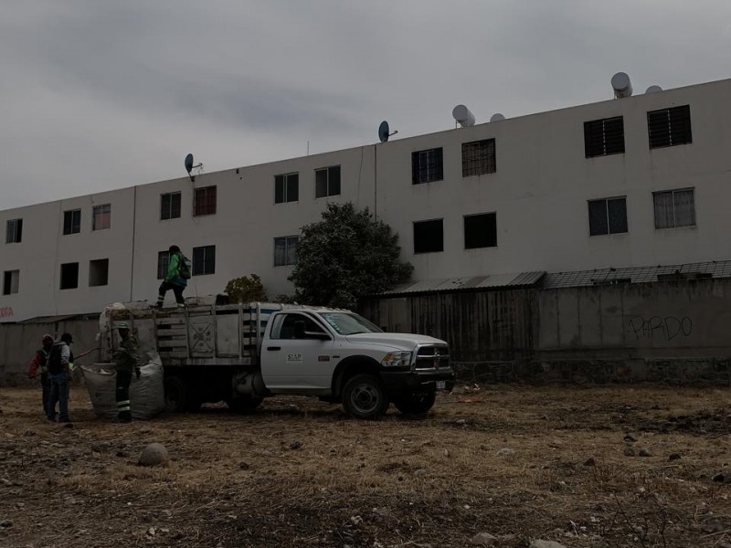 Municipio asiste a Brisas del Campestre a limpiar áreas verdes.