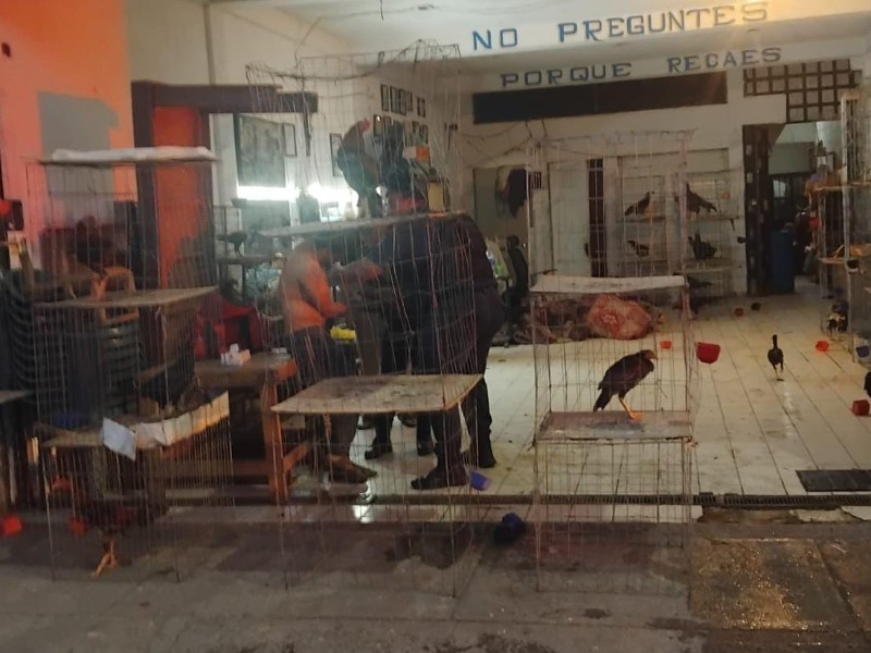 Municipio no cuenta con cifra exacta de anexos en Salamanca