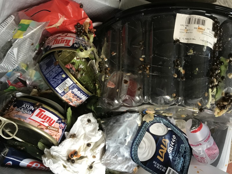 Municipio no cuenta con un programa de manejo de basura