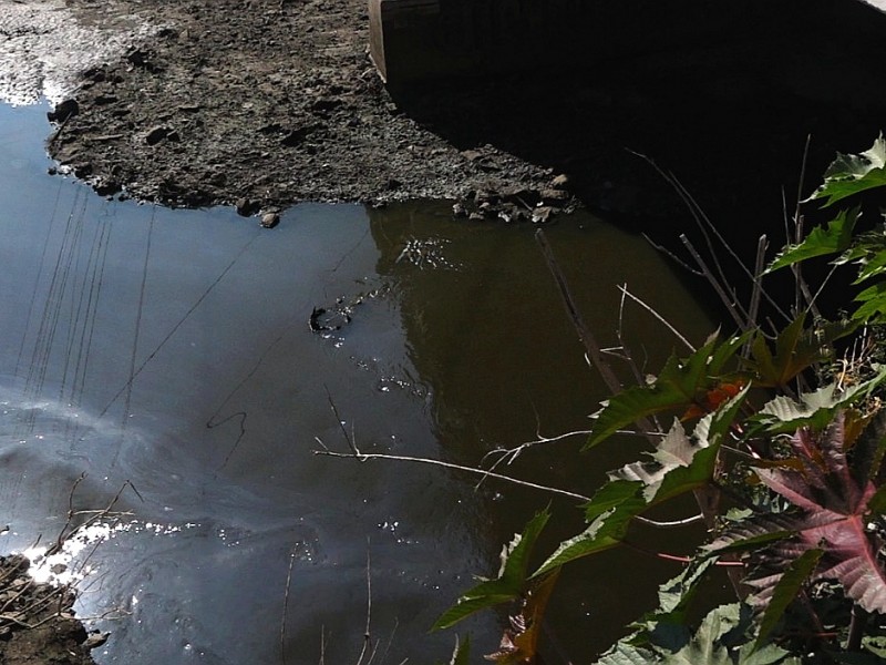Municipio no exige que se atienda contaminación del río Lerma