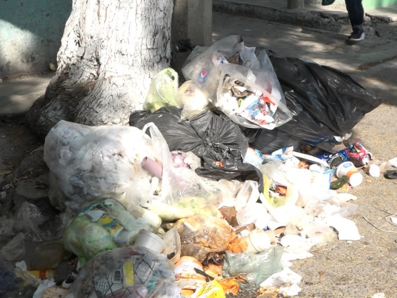 Municipio reconoce que no tiene proyecto definido para la basura