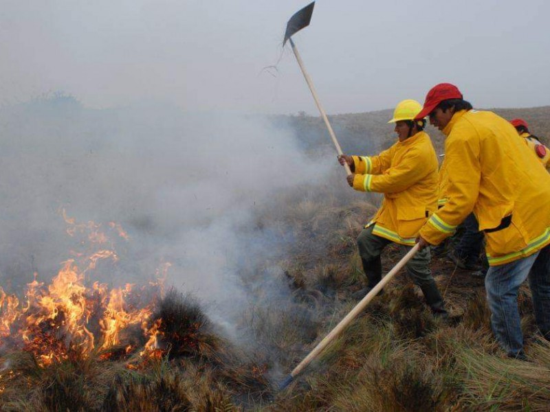 Municipios carecen de brigadas para combatir incendios forestales