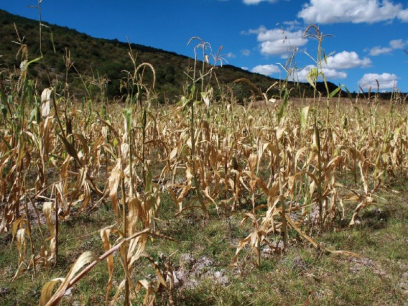 Municipios comienzan a resentir altas temperaturas