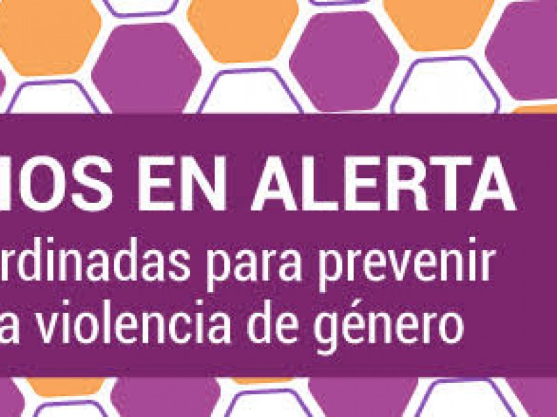 Municipios desobedecen alerta de violencia de género